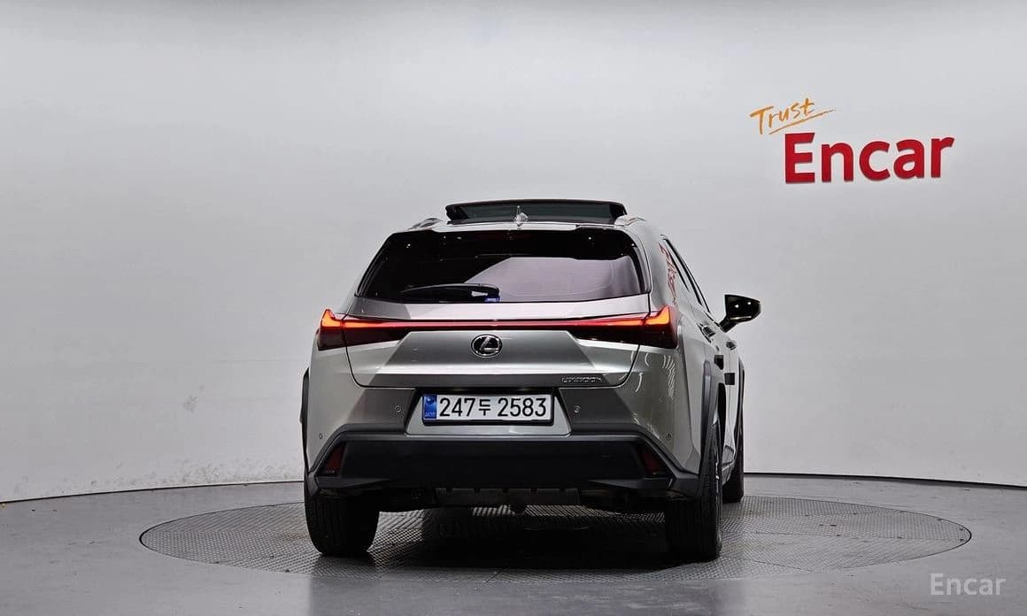 Lexus UX300h 2.0 2WD 2025